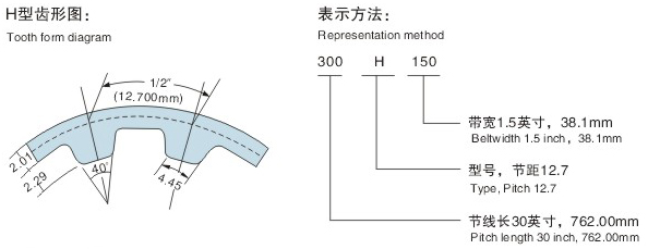 H同步带齿形图